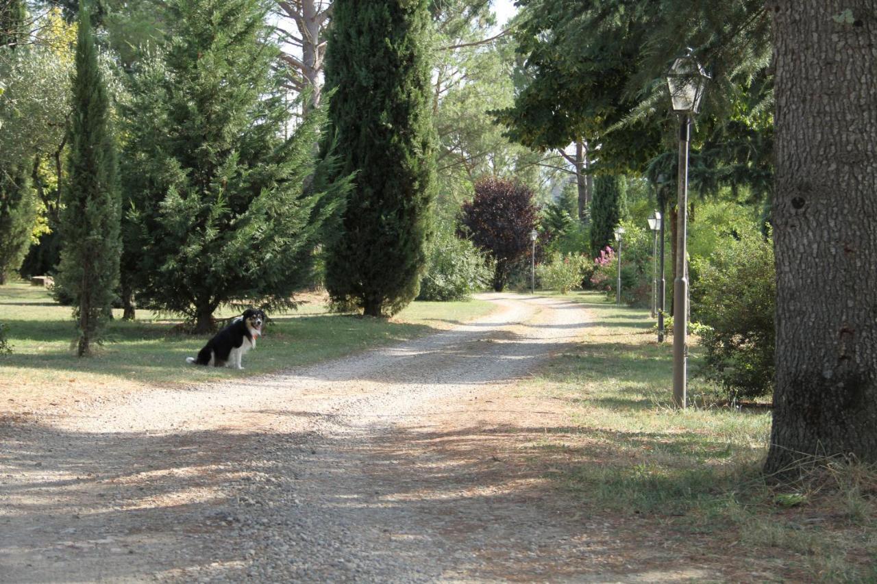 Villa Rigacci Hotel Reggello Exteriér fotografie